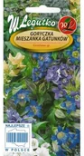 Nasiona i cebule - Legutko Goryczka mieszanka - miniaturka - grafika 1