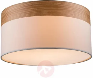 Globo CHIPSY 15221D 15221D - Oprawy, klosze i abażury - miniaturka - grafika 2