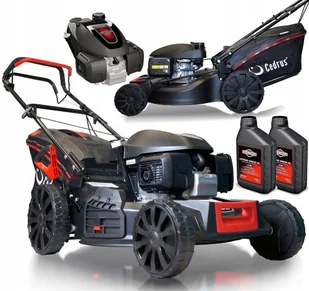 Cedrus KS53H - Kosiarki - miniaturka - grafika 2