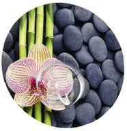 Wieszaki i stojaki - Wenko 20940100 Static-Loc haczyk na ścianę Uno SPA montaż bez wiercenia, tworzywo sztuczne, 8.5 x 2 x 8.5 cm, wielokolorowy 20940100 - miniaturka - grafika 1