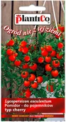 Nasiona i cebule - Plantico Pomidor wiszący - miniaturka - grafika 1