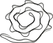 Sprzęt wspinaczkowy - Black Diamond Dynex Daisy Łańcuch 140cm / 12mm, black 2021 Drabinki linowe BD390028BLAKALL1 - miniaturka - grafika 1