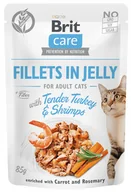 Mokra karma dla kotów - Brit karma mokra dla kotów Cat Fillets in Gravy with Tender Turkey & Savory Salmon 24x85 g - miniaturka - grafika 1