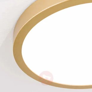 Orion Okrągła lampa sufitowa LED Vika, 23 cm - Lampy sufitowe - miniaturka - grafika 5