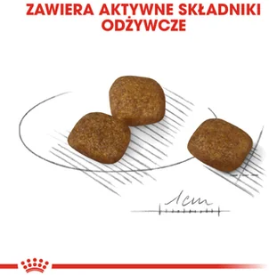 Royal Canin CCN Mini Coat Care 8 kg - Sucha karma dla psów - miniaturka - grafika 5