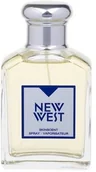 Wody i perfumy męskie - Aramis New West Woda toaletowa 100ml - miniaturka - grafika 1
