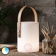 Lampy ogrodowe - Best Season oświetlenie dekoracyjne LED Lucie zewnętrzne - miniaturka - grafika 1