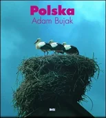 Albumy - przyroda - Polska - miniaturka - grafika 1