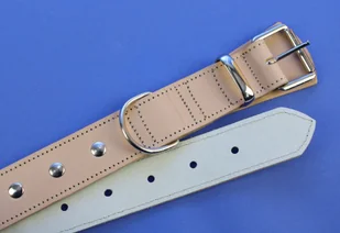 WIREX (PL) Solidna Obroża Dla Psa Jucht Ćwieki Skóra Naturalna 40 mm / 76 cm WIREX (PL) - Obroże dla psów - miniaturka - grafika 5