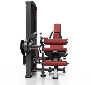 Marbo Sport Maszyna 2-w-1 na dwugłowy i czworogłowy uda MP-U216 - Atlasy do ćwiczeń Marbo Sport Maszyna 2-w-1 na dwugłowy i czworogłowy uda MP-U216 - Atlasy do ćwiczeń - miniaturka - grafika 17