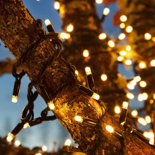 Markslojd Łańcuch świetlny Chrissline Extra 50 LED 2 300 K - Oświetlenie świąteczne - miniaturka - grafika 5