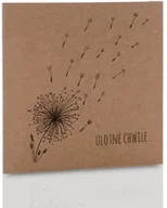 Pudełka i akcesoria na płyty CD - Obwoluta TS kraft dmuchawce (na płytę CD/DVD) - miniaturka - grafika 1