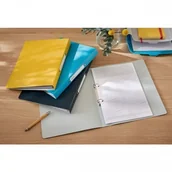 Segregatory - Leitz Segregator A4/32/2R 25mm PP COSY żółty ciepły|/42380019/ ES1483-6 - miniaturka - grafika 1