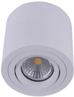 Lampy sufitowe - Emithor Lampa 1X50W GU10 SURFACE 48606 48606 - miniaturka - grafika 1