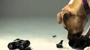 Vortex Razor UHD 10x42 - Lornetki - miniaturka - grafika 8