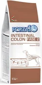 Sucha karma dla psów - Forza10 Intestinal Colon Fase 2 10 kg - miniaturka - grafika 1