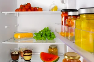 Lodówka AMICA FK2515.4UT - Lodówki - miniaturka - grafika 13