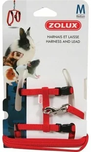 ZOLUX Szelki ZOLUX Casual 207106 M Czerwony + Smycz - Szelki dla psów - miniaturka - grafika 2