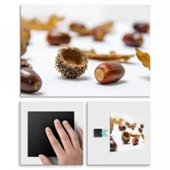 Przysmaki dla psów - Pix4home Plakat metalowy leśne przysmaki M POS-M-00889 - miniaturka - grafika 1