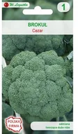 Nasiona i cebule - Legutko BROKUŁ Cezar W. 2g ogr000392 - miniaturka - grafika 1