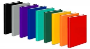 Vau-Pe Segregator A4 2 cm 2 ringi FCK 066/02 2 cm czarny - Segregatory - miniaturka - grafika 2