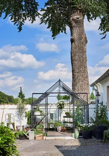 Halls szklarnia ogrodowa Qube+ 88 6,8 m2 2,61 x 2,61 m) czarna + baza SZKŁO HARTOWANE Qube+ 88 - Szklarnie ogrodowe - miniaturka - grafika 2