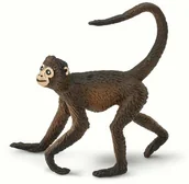Figurki dla dzieci - Safari Czepiak Małpa - Spider Monkey Ltd. - 291629 - miniaturka - grafika 1