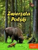 Książki edukacyjne - Biały Kot Zwierzęta Polski - wydanie 2015 - Elżbieta Zarych - miniaturka - grafika 1