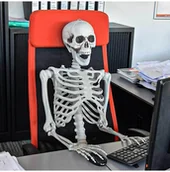 Dekoracje domu - Mikamax Mikamax Life Size Skeleton - 170 cm 04184 - miniaturka - grafika 1