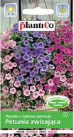 Nasiona i cebule - Plantico Petunia zwisająca 0,05g mix - miniaturka - grafika 1