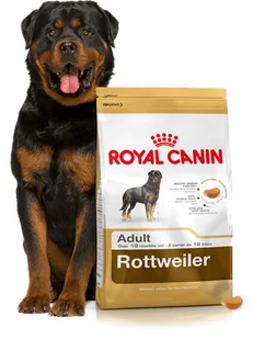 Royal Canin Rottweiler Adult 12kg + Wiadro na karmę 51l 197400 - Mokra karma dla psów Royal Canin Rottweiler Adult 12kg + Wiadro na karmę 51l 197400 - Mokra karma dla psów - miniaturka - grafika 2