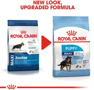 Royal Canin Maxi Junior 4 kg - Sucha karma dla psów - miniaturka - grafika 2