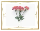 Ramki na zdjęcia - Umbra Ramka Prisma Mat Brass13x18 - miniaturka - grafika 1