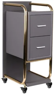 GABBIANO POMOCNIK FRYZJERSKI SOLO ZŁOTO SZARY 135396 - Meble fryzjerskie - miniaturka - grafika 2