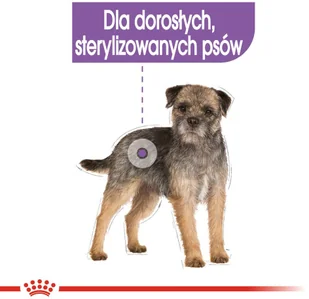 Royal Canin CCN Sterilised 12x85g karma mokra pasztet dla psów dorosłych sterylizowanych 25433-uniw - Mokra karma dla psów - miniaturka - grafika 4