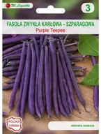 Nasiona i cebule - Legutko Fasola zwykła karłowa PURPLE TEEPEE - miniaturka - grafika 1