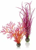 Dekoracje do akwarium - Oase OASE biorb roślin zestaw średniej wielkości, czerwony i różowy, średniej wielkości, czerńony/różowy - miniaturka - grafika 1