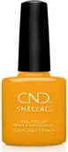 Lakiery hybrydowe - CND CND Shellac Among The Marigolds 7,3ml 639370009872 - miniaturka - grafika 1