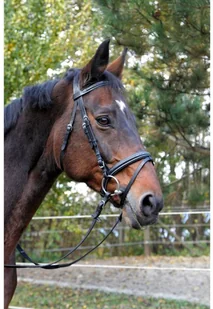 Kerbl Ogłowie wędzidłowe Classic, skóra, czarne, rozmiar Full, 326139 - Ogłowia - miniaturka - grafika 2