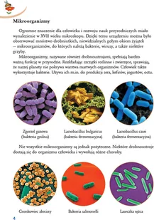 Wydawnictwo Juka Gra w kolory. Podręcznik klasa 3, część 4 890695 - Podręczniki dla szkół podstawowych - miniaturka - grafika 3