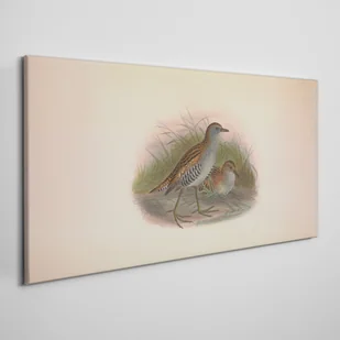 PL Coloray Obraz na Płótnie Ptaki Zwierzęta 100x50cm - Obrazy i zdjęcia - miniaturka - grafika 4