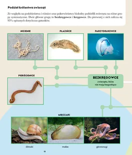 Wydawnictwo MAC Biologia. Podręcznik klasa 6 881341 - Podręczniki dla szkół podstawowych - miniaturka - grafika 6