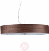 Lampy sufitowe - Paulmann Lampa wisząca Liska z ciemnobrązowym kloszem - miniaturka - grafika 1