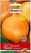 Nasiona i cebule - Plantico Cebula Niagara F1 - miniaturka - grafika 1