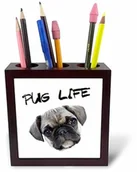 Pojemniki biurowe - 3dRose 3dRose ph_236322_1 15 cm"Życie mops uroczy szczeniak patrzący na kamerę" uchwyt na długopisy do płytek ph_236322_1 - miniaturka - grafika 1