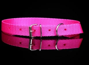 dr Seidla ZOO LESZCZ (PL) Soldina Dla Psa Taśma 10 mm / 30 cm ZL063 ZOOLESZCZ (PL) - Smycze dla psów - miniaturka - grafika 2