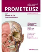Książki medyczne - MedPharm Polska Prometeusz atlas anatomii człowieka. Tom III. Głowa, szyja i neuroanatomia. Nomenklatura angielska - miniaturka - grafika 1