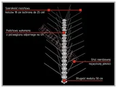 Zwalczanie i odstraszanie szkodników - Ecopic Kolce Ecopic p/ptakom typ W_180 - miniaturka - grafika 1