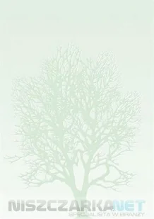 . GALERIA:BARWNE ARKUSZE A4 drzewo - Papier do drukarek - miniaturka - grafika 2