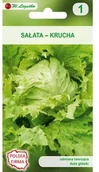 Nasiona i cebule - Legutko Sałata głowiasta krucha SAMBA - miniaturka - grafika 1